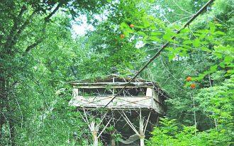 Safari Land Resort, Nilagiri 3